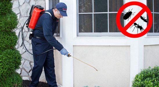 Tavas Böcek İlaçlama böcek ilaçlama ve haşere kontrolü — ilaclama-tr.com